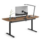 BDI Soma 6352 72" Wide Adjustable Standing Desk (Natural Walnut)
