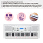Yamaha EZ-300 61-Key Portable Beginner's Keyboard with Lighted Keys