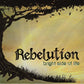 Bright Side of Life - Vinyl LP