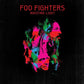 Wasting Light - Vinyl LP