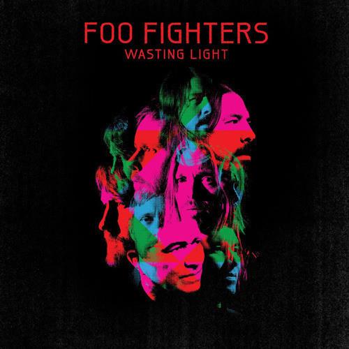 Wasting Light - Vinyl LP