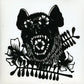 Rider B/W I Guess We Lost - 7-Inch Single