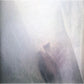 Wild Palms b/w Symphony In White, No. 2 - 7-Inch Single
