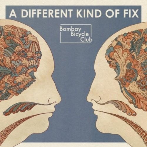 Different Kind of Fix - Vinyl LP