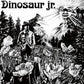 Dinosaur Jr. - Vinyl LP