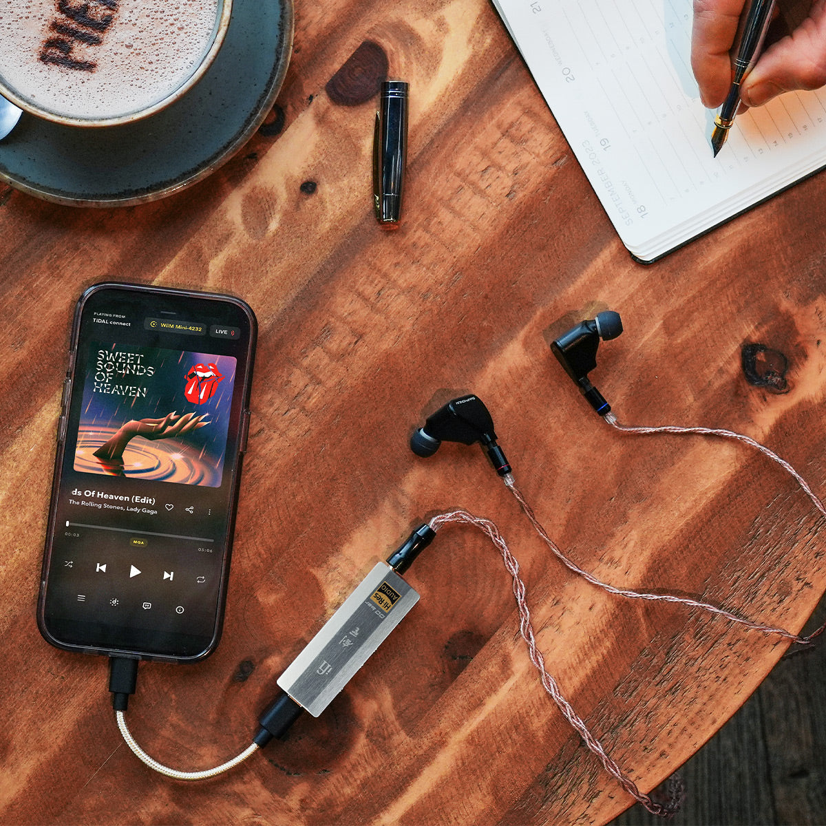 iFi Audio GO bar Kensei Portable Hi-Res USB DAC and Preamp