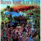Black Market - Vinyl LP 180 Gram