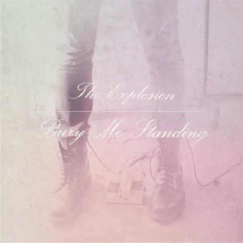 Bury Me Standing - Vinyl LP