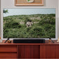 Sonos Beam Compact Smart Sound Bar with Dolby Atmos (Gen 2,Black)
