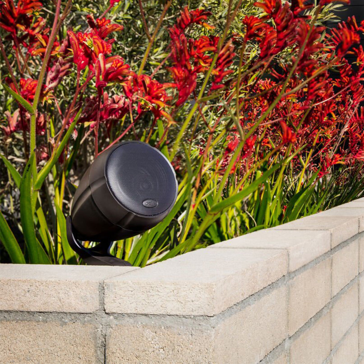 Polk Audio Atrium SAT300 Outdoor Passive Satellite Speaker - 8 Pack (Chestnut Brown)