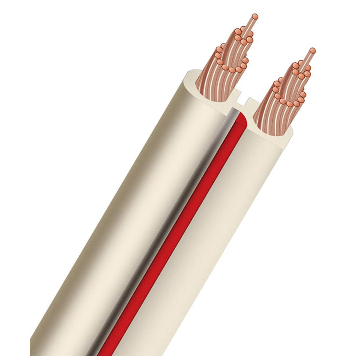 AudioQuest X2 Unterminated Speaker Cable - Thumbnail 2