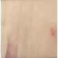 Erika Spring - 12-Inch Single