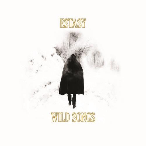 Wild Songs - Vinyl LP