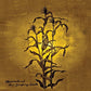 The Laughing Stalk - Vinyl LP