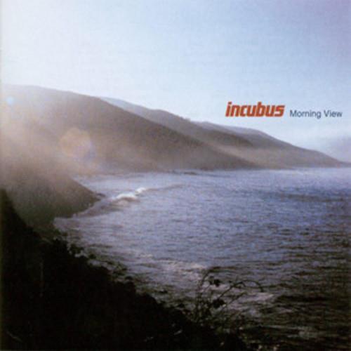 Morning View - Vinyl LP