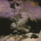 Land of Rape & Honey - Vinyl LP