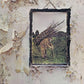 Led Zeppelin IV - Vinyl LP