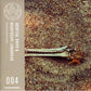 Mary of Quito - 7-Inch Single