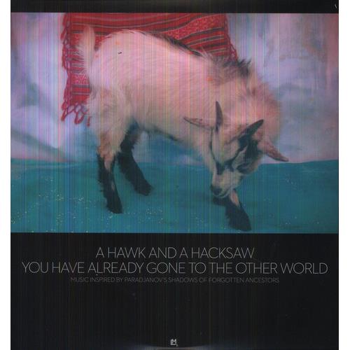 You Have Already Gone to the Other World - Vinyl LP