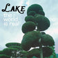 World Is Real - Vinyl LP