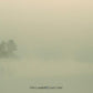 Schooldays Over - Vinyl LP