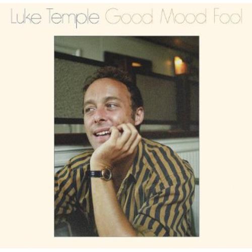 Good Mood Fool - Vinyl LP