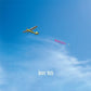 Negativity - Vinyl LP