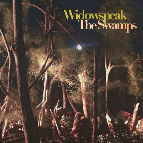 The Swamps - Vinyl LP
