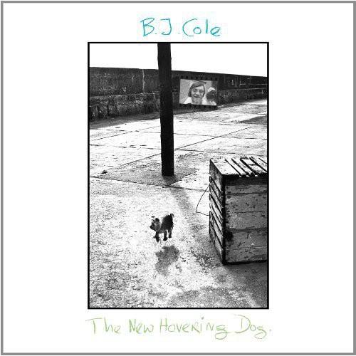 New Hovering Dog - Vinyl LP