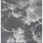 Continuation Day EP - Vinyl LP