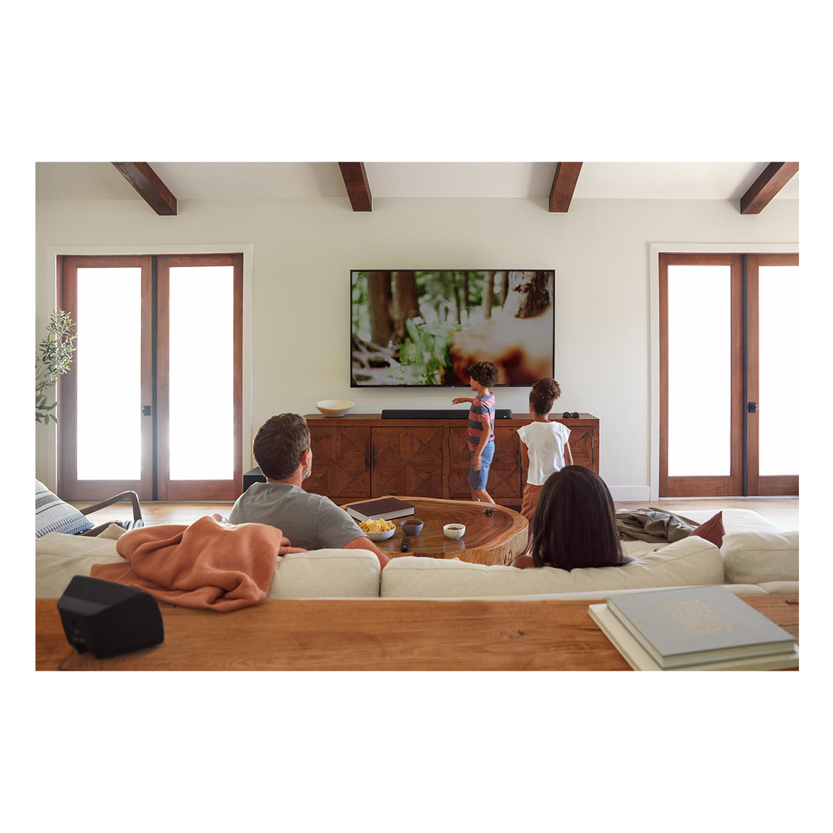 Polk Audio MagniFi Max AX SR 7.1.2 Channel Soundbar System with AudioQuest SKY 3m HDMI Cable