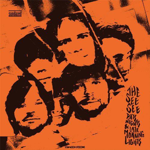 Days Nights & Late Morning Lights - Vinyl LP