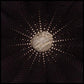 In the Hollows - Vinyl LP