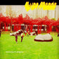 Tomorrow in Progress - Vinyl LP