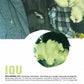 Girls on Dates EP - 12-Inch Single