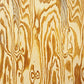 Wooden Aquarium - Vinyl LP