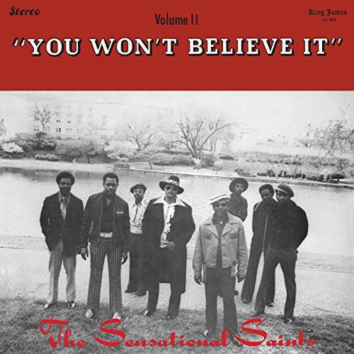 You Won't Believe It - Vinyl LP