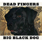 Big Black Dog - Vinyl LP