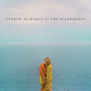 Andrew McMahon in the Wilderness - Vinyl LP