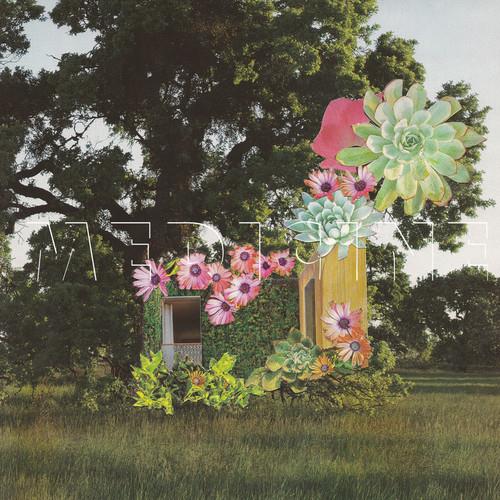 Home Everywhere - Vinyl LP