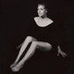 Springtime Carnivore - Vinyl LP