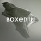 Boxed in - Vinyl LP