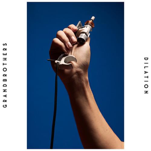 Dilation - Vinyl LP