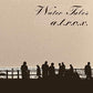 Water Tales - Vinyl LP