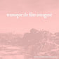 Musique de Film Imagine - Vinyl LP