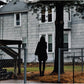 Dark Bird Is Home - Vinyl LP