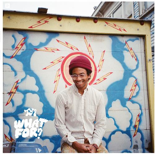 What for - Vinyl LP