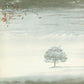 Wind & Wuthering - Vinyl LP 180 Gram