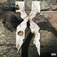 And Then There Was X - Vinyl LP