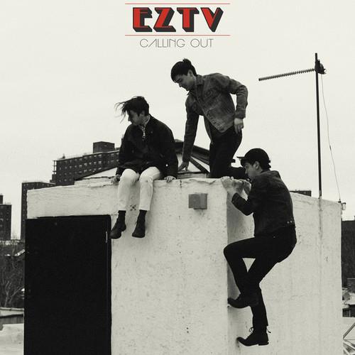 Calling Out - Vinyl LP
